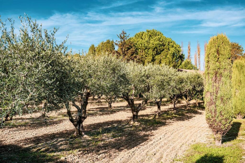 Villa De La Roque Eygalières Eksteriør bilde