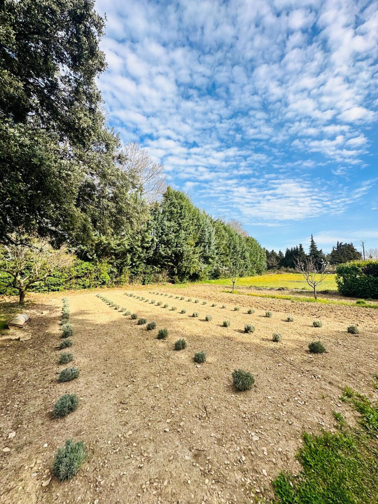 Villa De La Roque Eygalières Eksteriør bilde