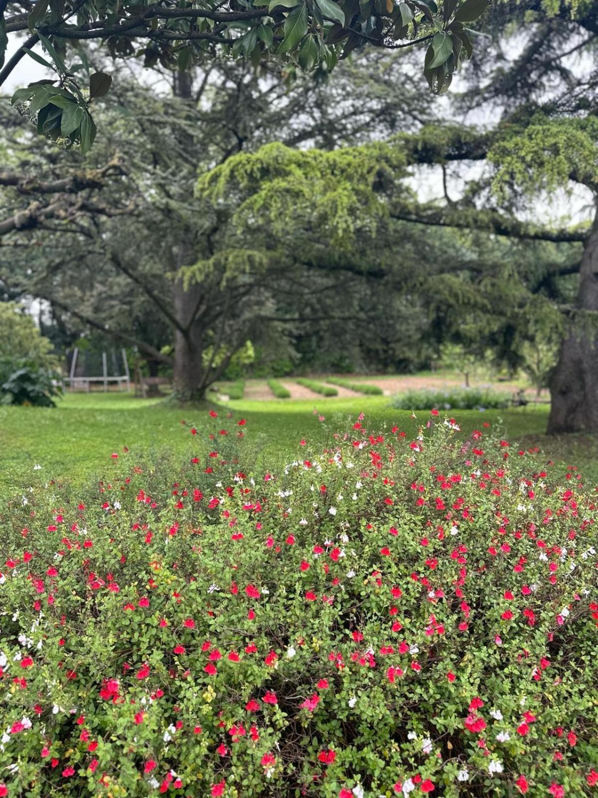 Villa De La Roque Eygalières Eksteriør bilde