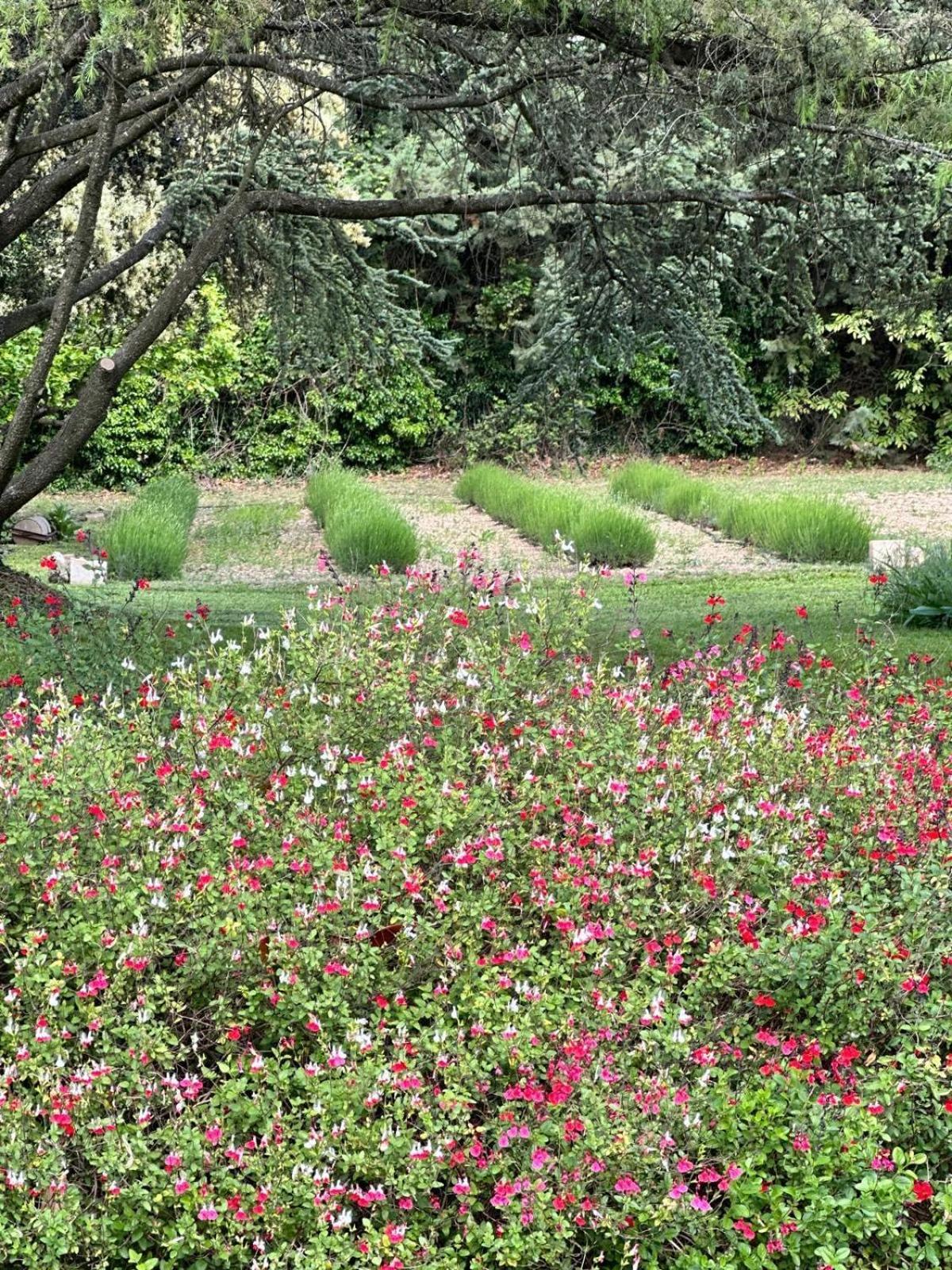 Villa De La Roque Eygalières Eksteriør bilde